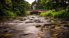 Nature Trees Bridges rocks rivers long exposure
