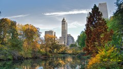 Nature Trees buildings HDR Photography