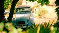 Nature Trees cars citroën Citroën 2CV