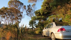 Nature Trees cars Mitsubishi Lancer mitsubishi lancer