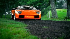 Nature Trees cars orange