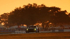Nature Trees cars outdoors vehicles skies