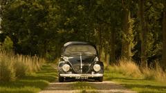 Nature Trees cars paths