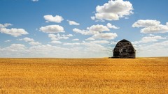 Nature Trees clouds farm skyscapes
