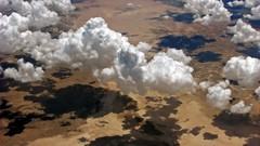 Nature Trees clouds Green