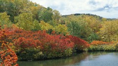 Nature Trees clouds land lakes skyscapes