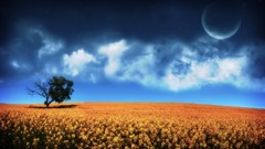 Nature Trees clouds moon sunny blurred