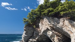 Nature Trees clouds ocean coast cliffs croatia rocks waves
