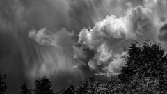Nature Trees clouds rain sky storm monochrome houses bokeh skies