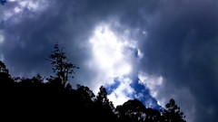 Nature Trees clouds skies