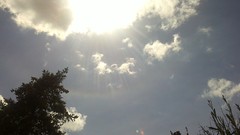 Nature Trees clouds sunray