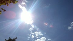 Nature Trees clouds sunray