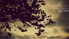 Nature Trees clouds text love blossom