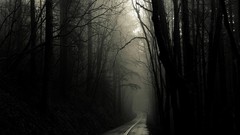 Nature Trees dark Gothic roads Greg Martin