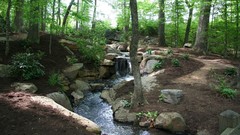 Nature Trees dark rivers forests
