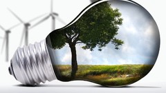 Nature Trees digital art