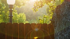 Nature Trees fences lanterns