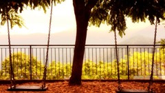 Nature Trees fences swings HDR Photography