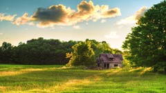 Nature Trees fields skyscapes