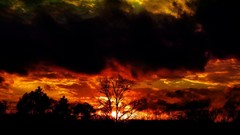 Nature Trees fire light heaven skies Armageddon