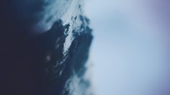 Nature Trees flora blurred background depth of field