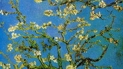 Nature Trees Flowers