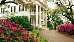 Nature Trees Flowers buildings
