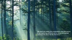 Nature Trees forest Quotes