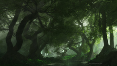 Nature Trees forests