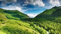 Nature Trees forests hills