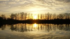 Nature Trees forests lakes
