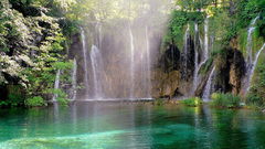 Nature Trees forests waterfalls