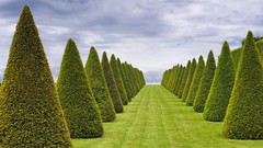 Nature Trees France Garden versailles aesthetic Kings Landing