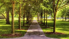 Nature Trees Garden paths