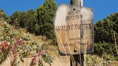 Nature Trees grass blue Mountains sign Green Plants Utah Wood 