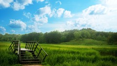 Nature Trees grass clouds Bridges fields