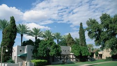 Nature Trees grass clouds land architecture houses