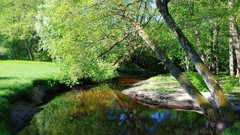 Nature Trees grass Green Parks rivers forests