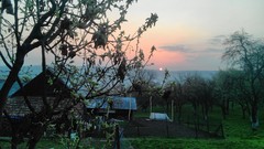 Nature Trees grass Mountains Green houses fences skies