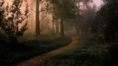 Nature Trees grass path