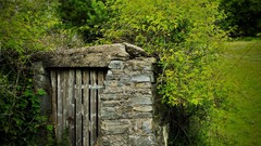 Nature Trees grass shed
