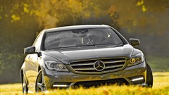 Nature Trees grass silver cars Mercedes-Benz