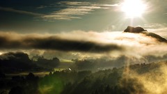 Nature Trees grass sun scenic skyscapes