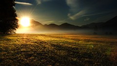 Nature Trees grass sun scenic skyscapes