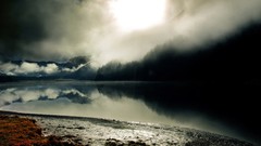 Nature Trees grass sun scenic skyscapes