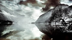 Nature Trees grass sun scenic skyscapes