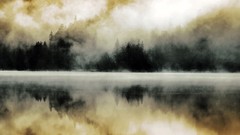 Nature Trees grass sun scenic skyscapes