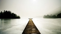 Nature Trees grass sun scenic skyscapes