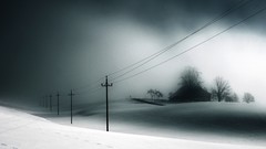 Nature Trees grass sun scenic skyscapes