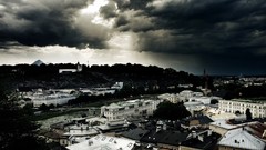 Nature Trees grass sun scenic skyscapes